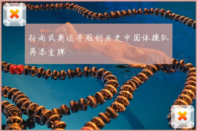 孙尚武奥运夺冠创历史中国体操队再添金牌